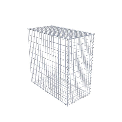 Grown-on gabion type 2 100 cm x 100 cm x 50 cm (L x H x D), mesh size 5 cm x 10 cm, spiral