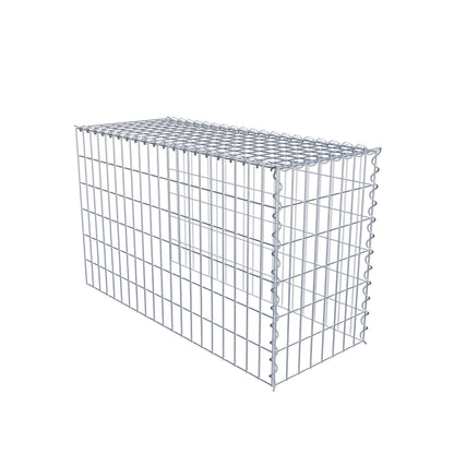 Grown-on gabion type 4 100 cm x 60 cm x 40 cm (L x H x D), mesh size 5 cm x 10 cm, spiral